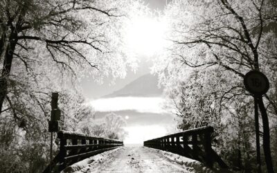 Hermine und die Weihnachtsbrücke